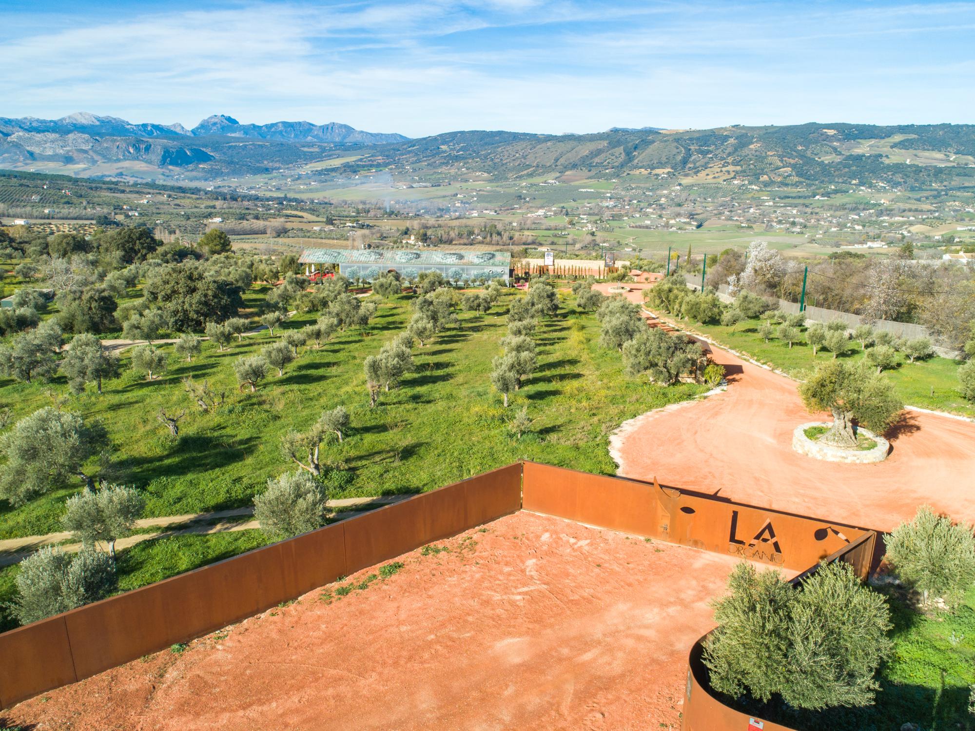 Hotel Cortijo La Organic Ronda Exterior foto