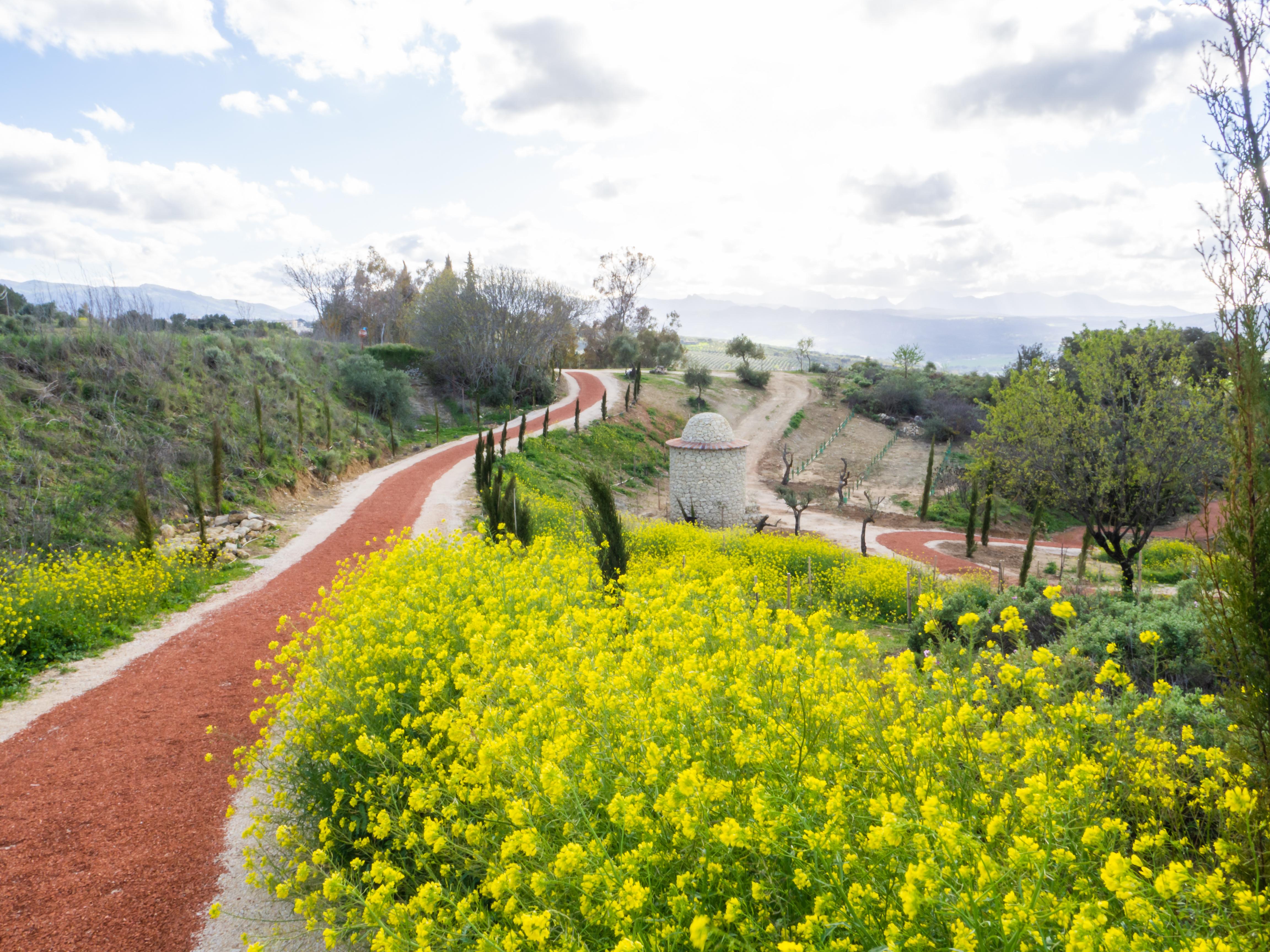 Hotel Cortijo La Organic Ronda Exterior foto