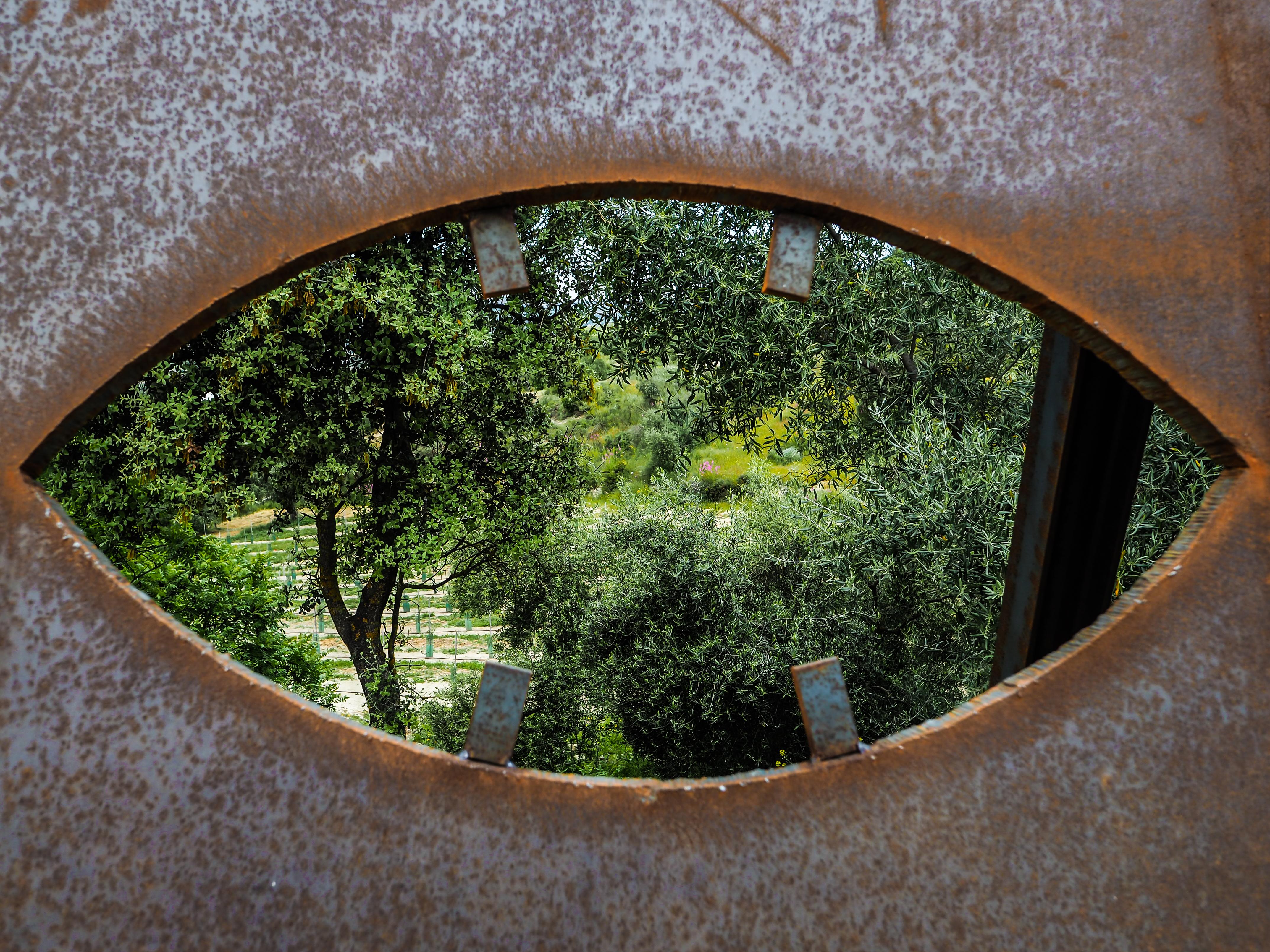 Hotel Cortijo La Organic Ronda Exterior foto