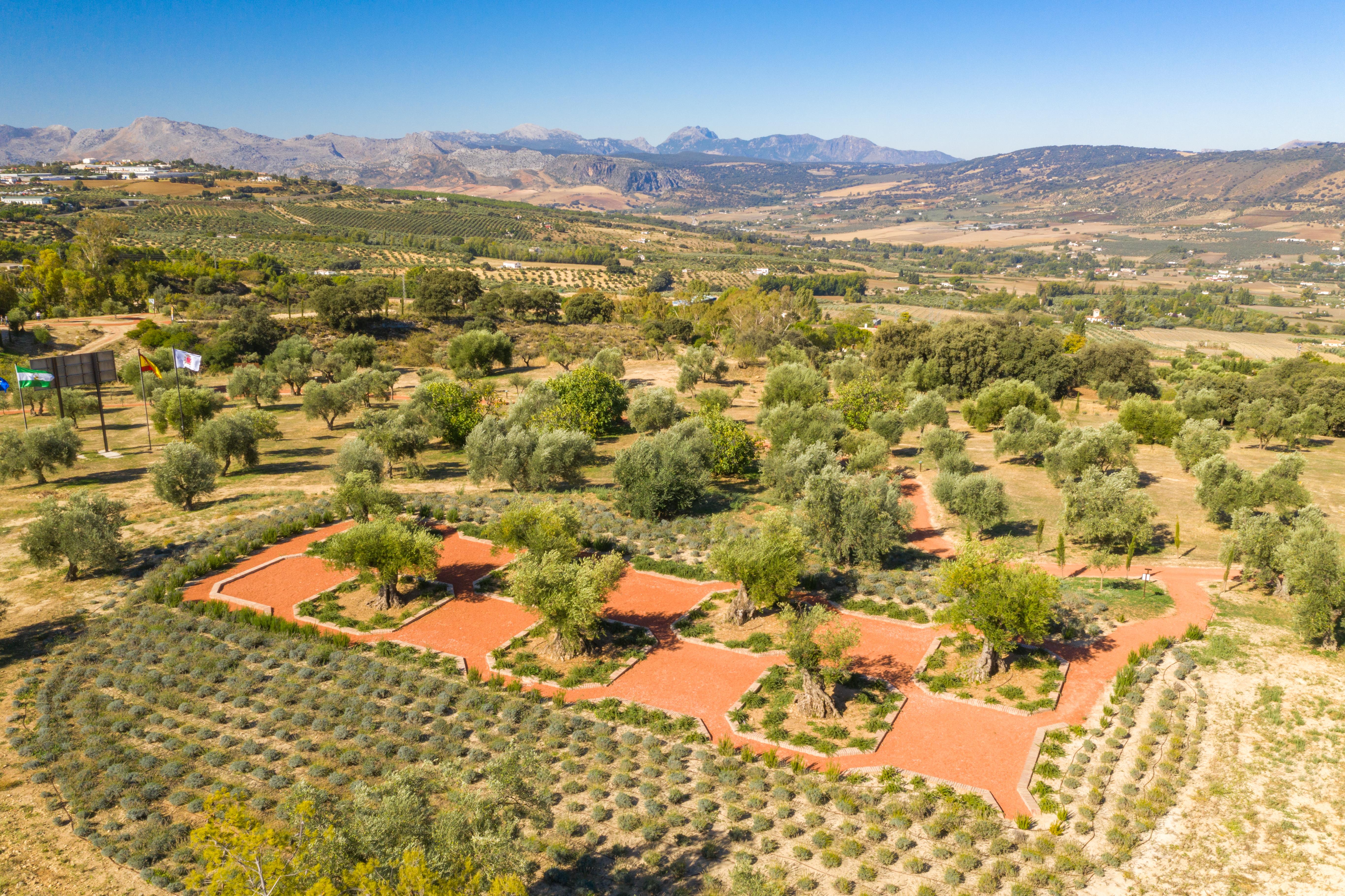 Hotel Cortijo La Organic Ronda Exterior foto