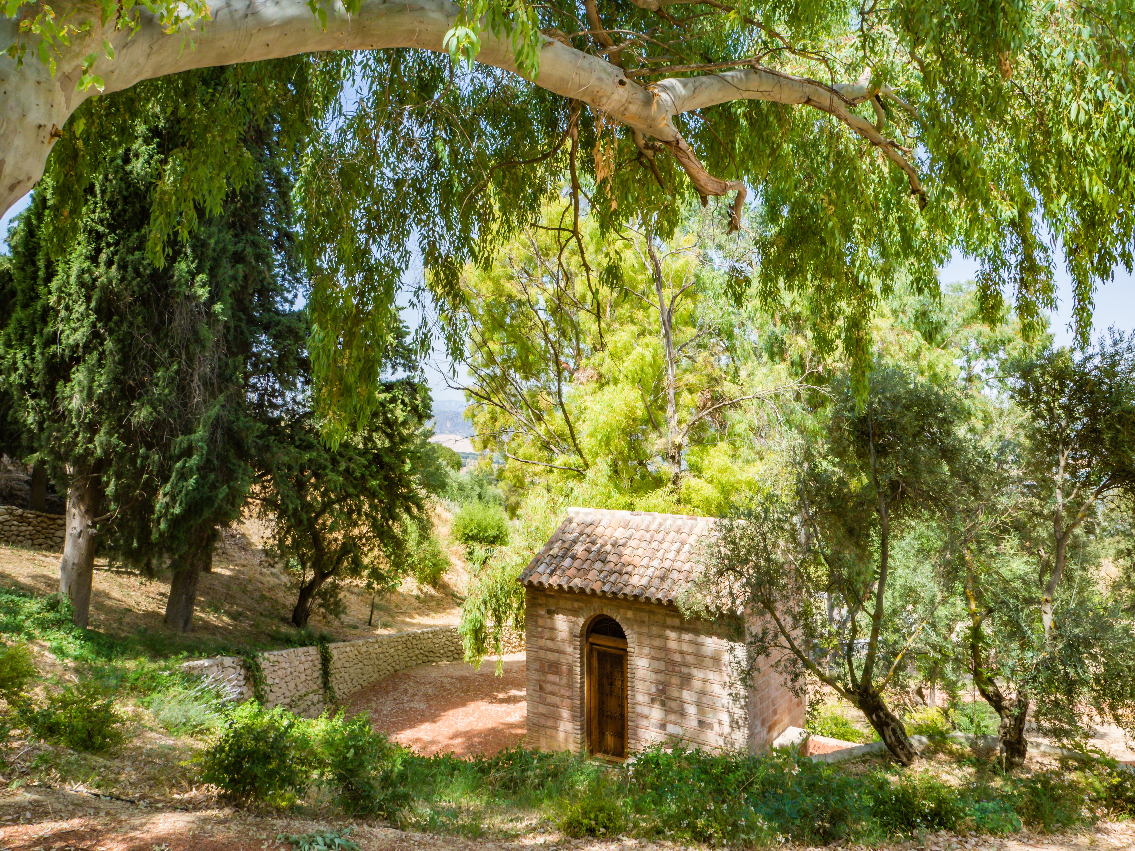 Hotel Cortijo La Organic Ronda Exterior foto